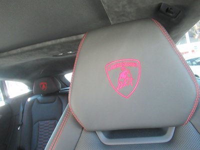 2019 Lamborghini URUS 照片 16