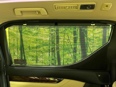 صورة 47 لـ 2021 Toyota ALPHARD