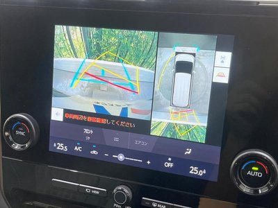 2025 Toyota ALPHARD — фото 4