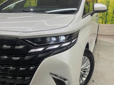 2025 Toyota ALPHARD — фото 13