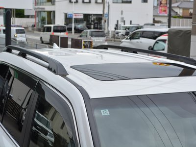 2024 Toyota LAND CRUISER 300 photo 42