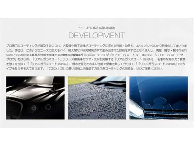 2024 Toyota LAND CRUISER 300 photo 84