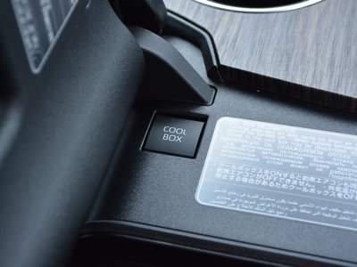 2024 Toyota LAND CRUISER 300 photo 5