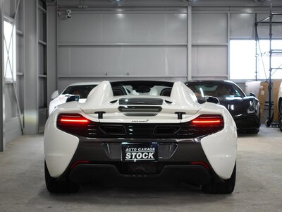 2016 Mclaren 650S SPIDER 照片 29