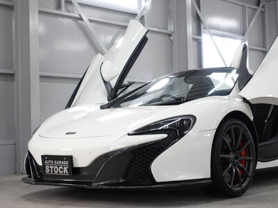 2016 Mclaren 650S SPIDER 照片 37