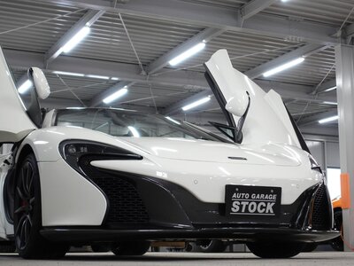 2016 Mclaren 650S SPIDER 照片 39