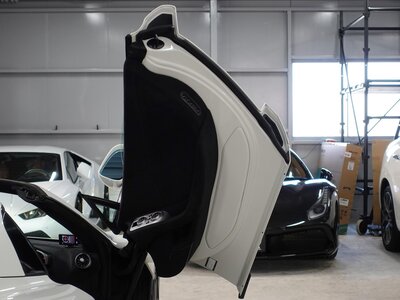 2016 Mclaren 650S SPIDER 照片 101