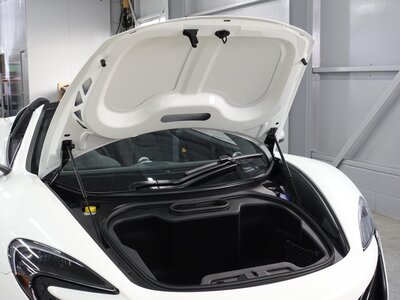 2016 Mclaren 650S SPIDER 照片 107