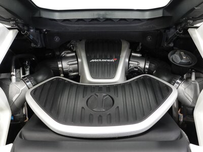 2016 Mclaren 650S SPIDER 照片 113