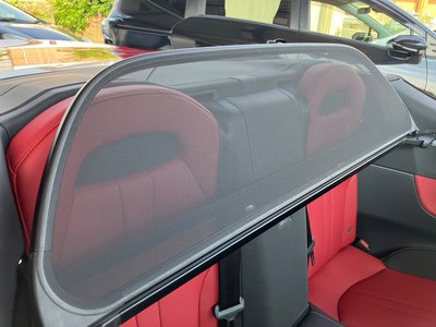 2021 Lexus LC CONVERTIBLE 照片 12