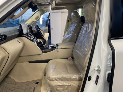 2022 Toyota LAND CRUISER 300 照片 14