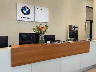 2024 BMW X2 thumbnail 78