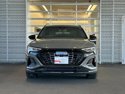 2024 AUDI Q8 E-TRON 照片 2