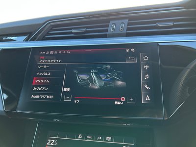 2024 AUDI Q8 E-TRON 照片 19