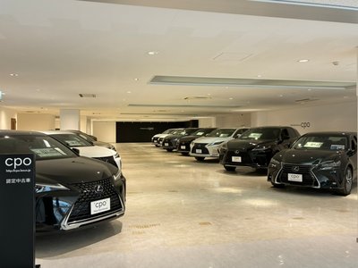2023 Lexus LS photo 12