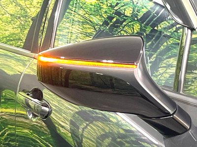 2024 Lexus LBX 照片 26