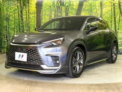 2024 Lexus LBX 照片 28