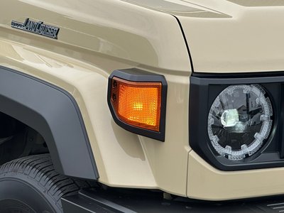 2025 Toyota LAND CRUISER 70 缩略图 16