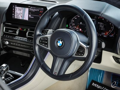 2019 BMW 8 SERIES GRAN COUPE photo 64