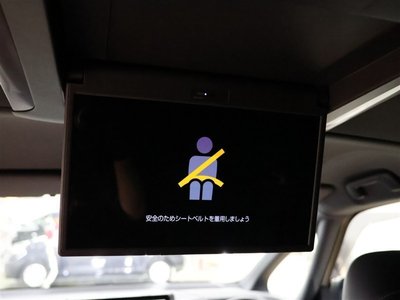 2023 Toyota ALPHARD 照片 14