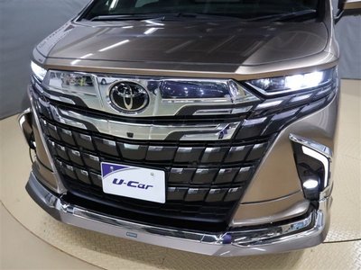 2023 Toyota ALPHARD 照片 30