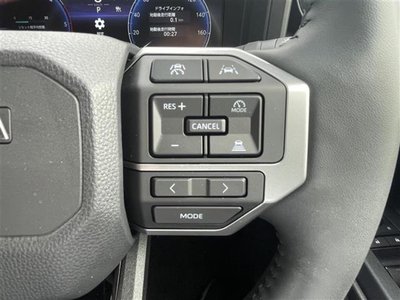 2024 Toyota LAND CRUISER 250 photo 8