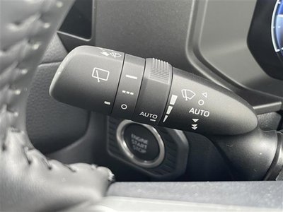 2024 Toyota LAND CRUISER 250 photo 9