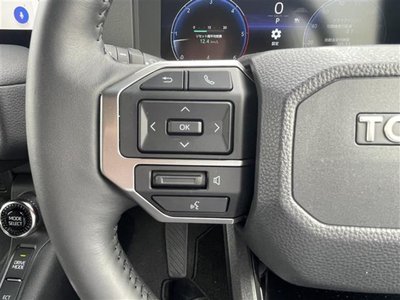 2024 Toyota LAND CRUISER 250 photo 7