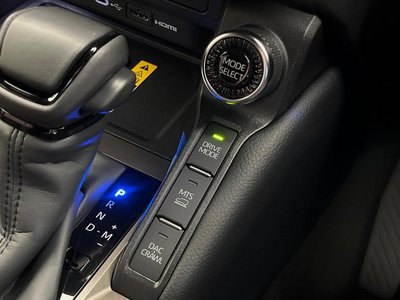 2025 Toyota LAND CRUISER 250 照片 42