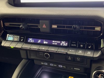 2025 Toyota LAND CRUISER 250 照片 25