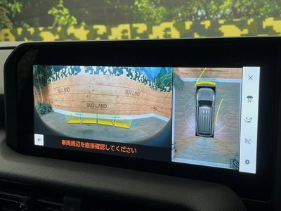 2025 Toyota LAND CRUISER 250 照片 51