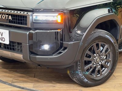 2025 Toyota LAND CRUISER 250 照片 17
