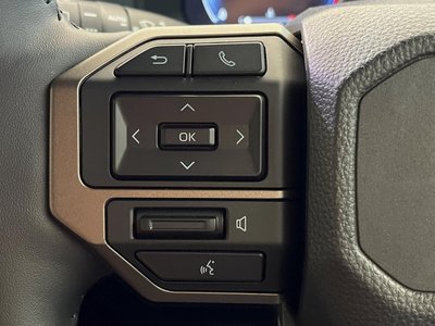 2025 Toyota LAND CRUISER 250 照片 36