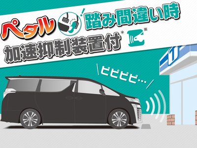 2023 Toyota ALPHARD 照片 68