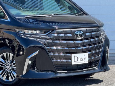 2026 Toyota ALPHARD 照片 18