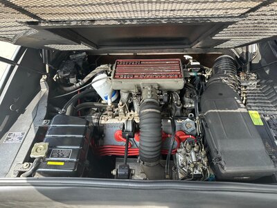 1986 Ferrari 328 GTS 照片 11