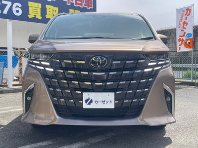 2025 Toyota ALPHARD — фото 39