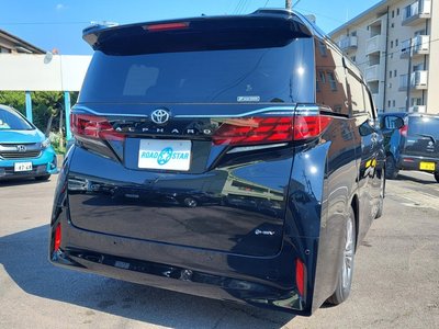 2024 Toyota ALPHARD 照片 18