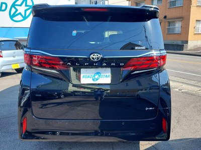 2024 Toyota ALPHARD 照片 17