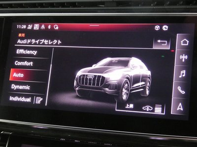 2024 AUDI Q8 — миниатюра 70