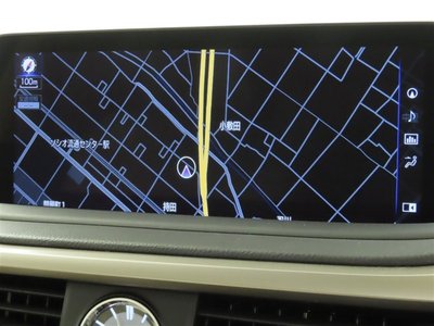 2019 Lexus RX photo 5