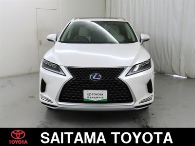 2019 Lexus RX photo 11