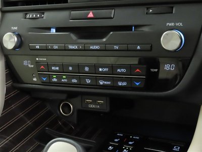2019 Lexus RX thumbnail 28