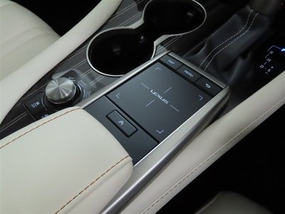 2019 Lexus RX thumbnail 18