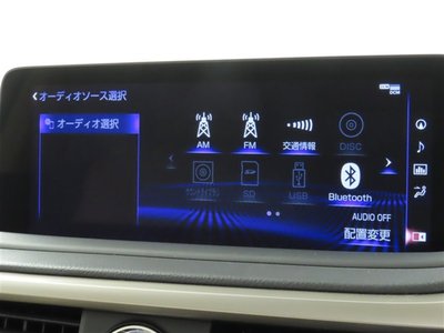 2019 Lexus RX thumbnail 22