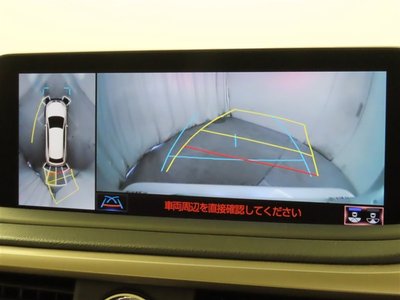 2019 Lexus RX photo 6