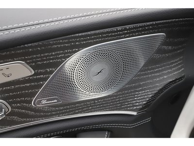 2024 Mercedes-BENZ GT AMG thumbnail 53