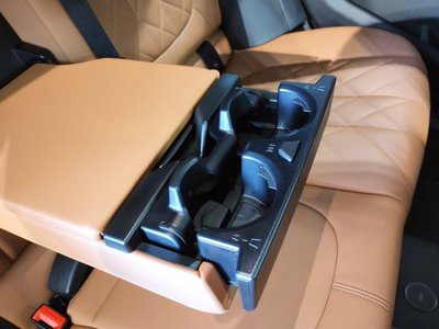 2023 BMW X6 thumbnail 55