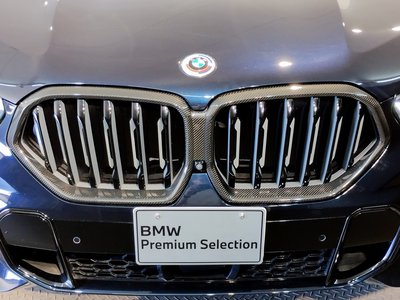 2023 BMW X6 thumbnail 63