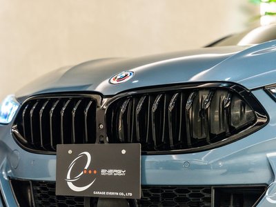2019 BMW 8 SERIES 照片 11